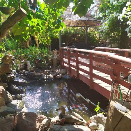Lotus Turtle Garden Eilat Apartment Bagian luar foto