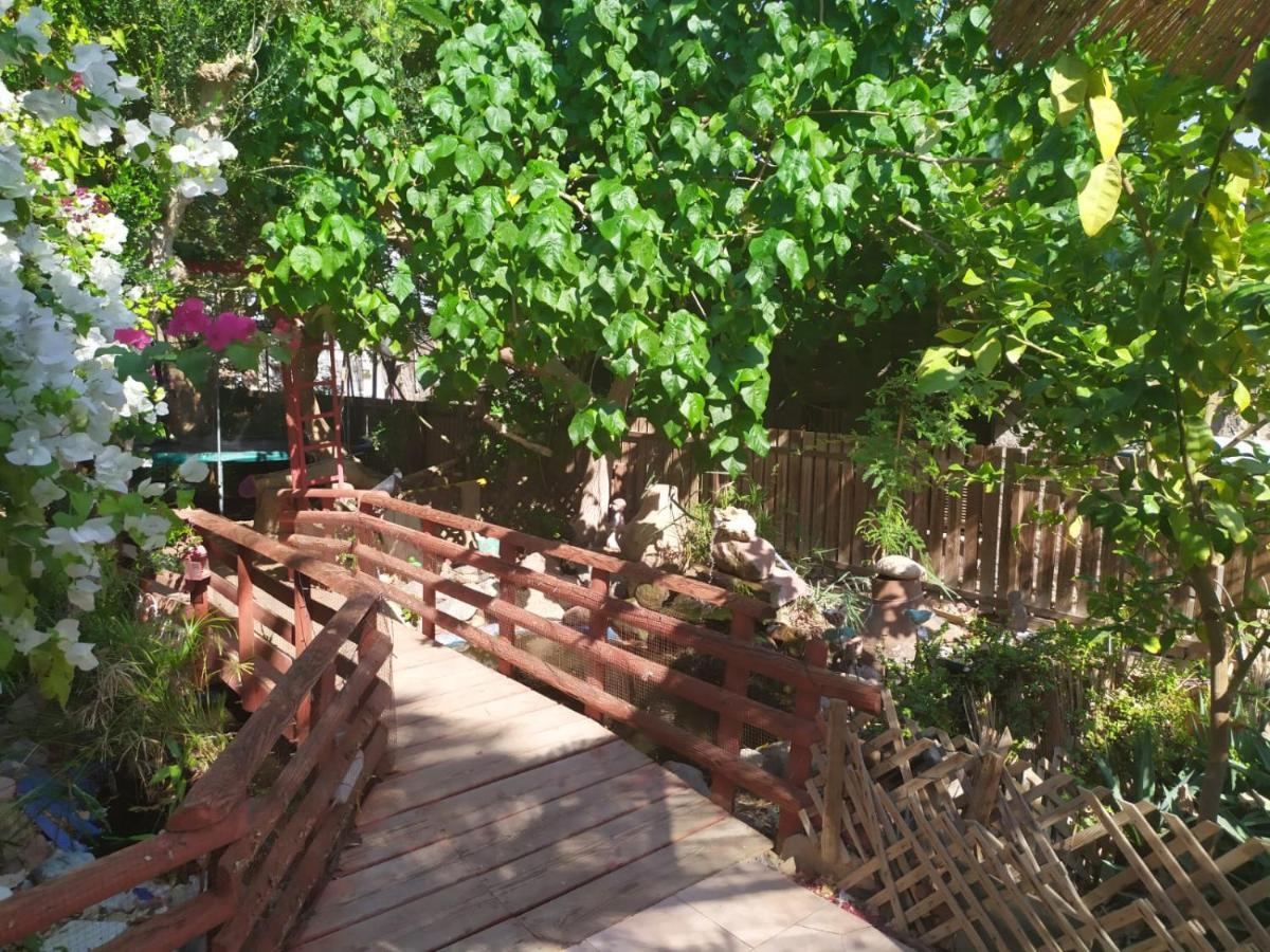 Lotus Turtle Garden Eilat Apartment Bagian luar foto