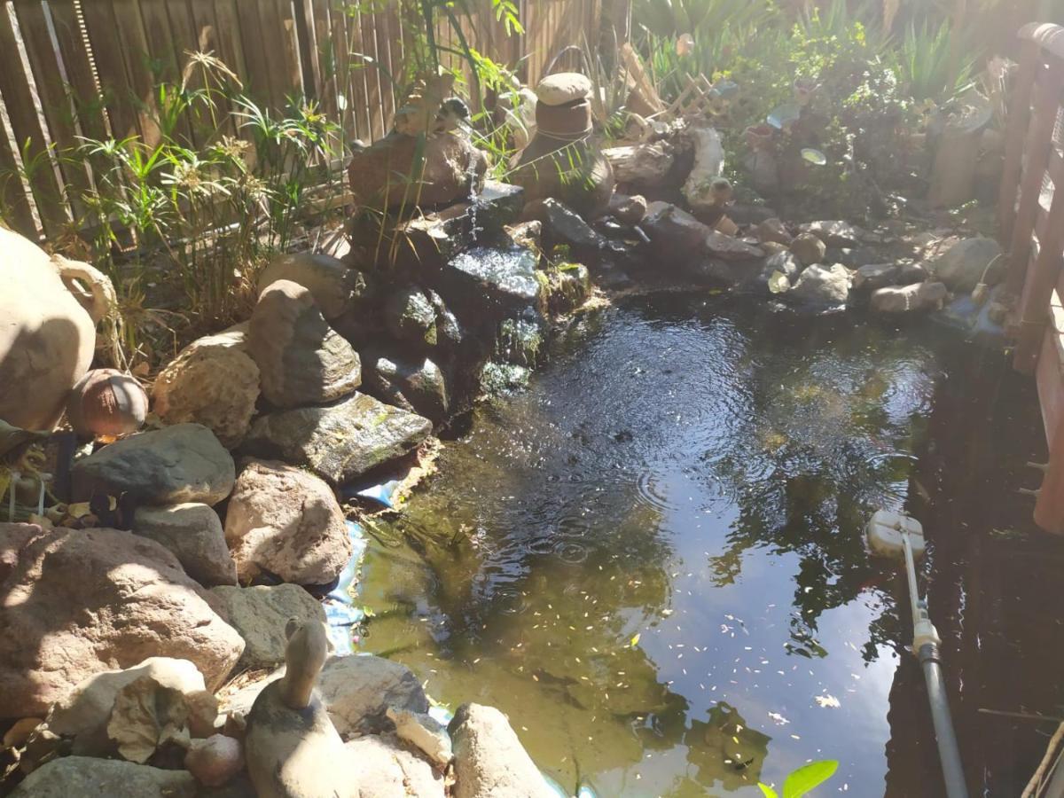 Lotus Turtle Garden Eilat Apartment Bagian luar foto